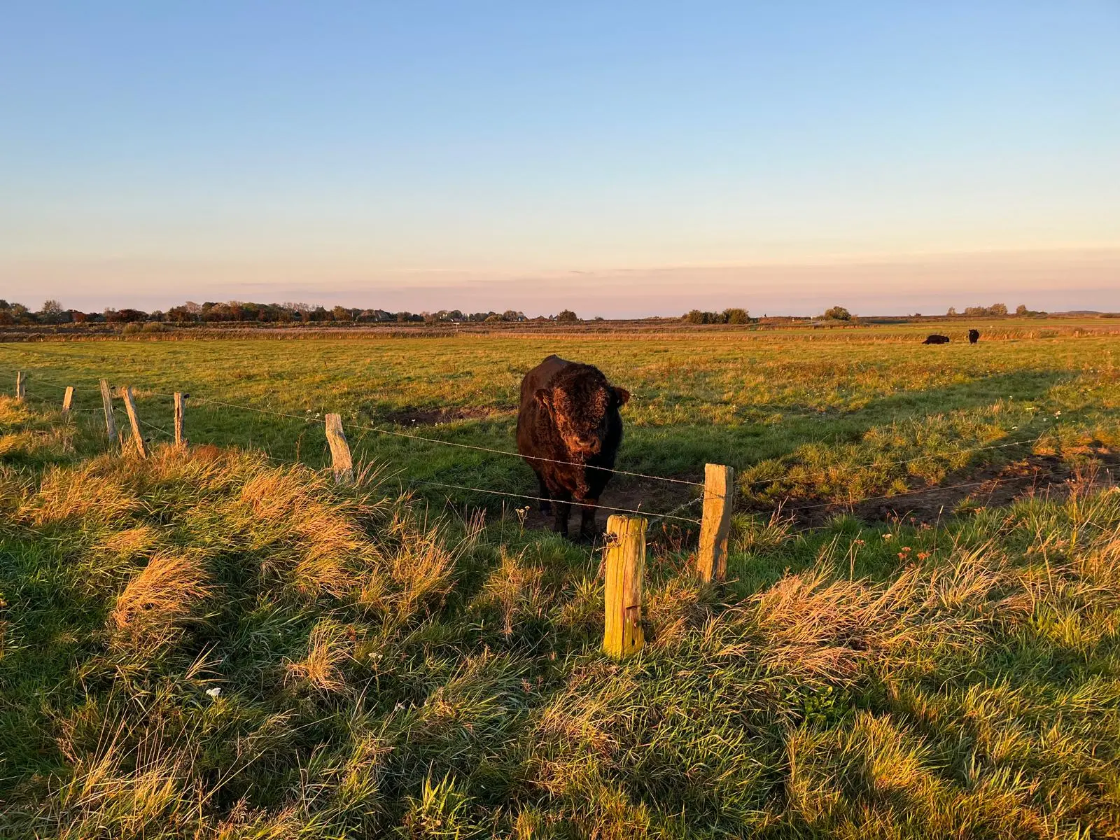 Archsum Idylle Archsum Idylle