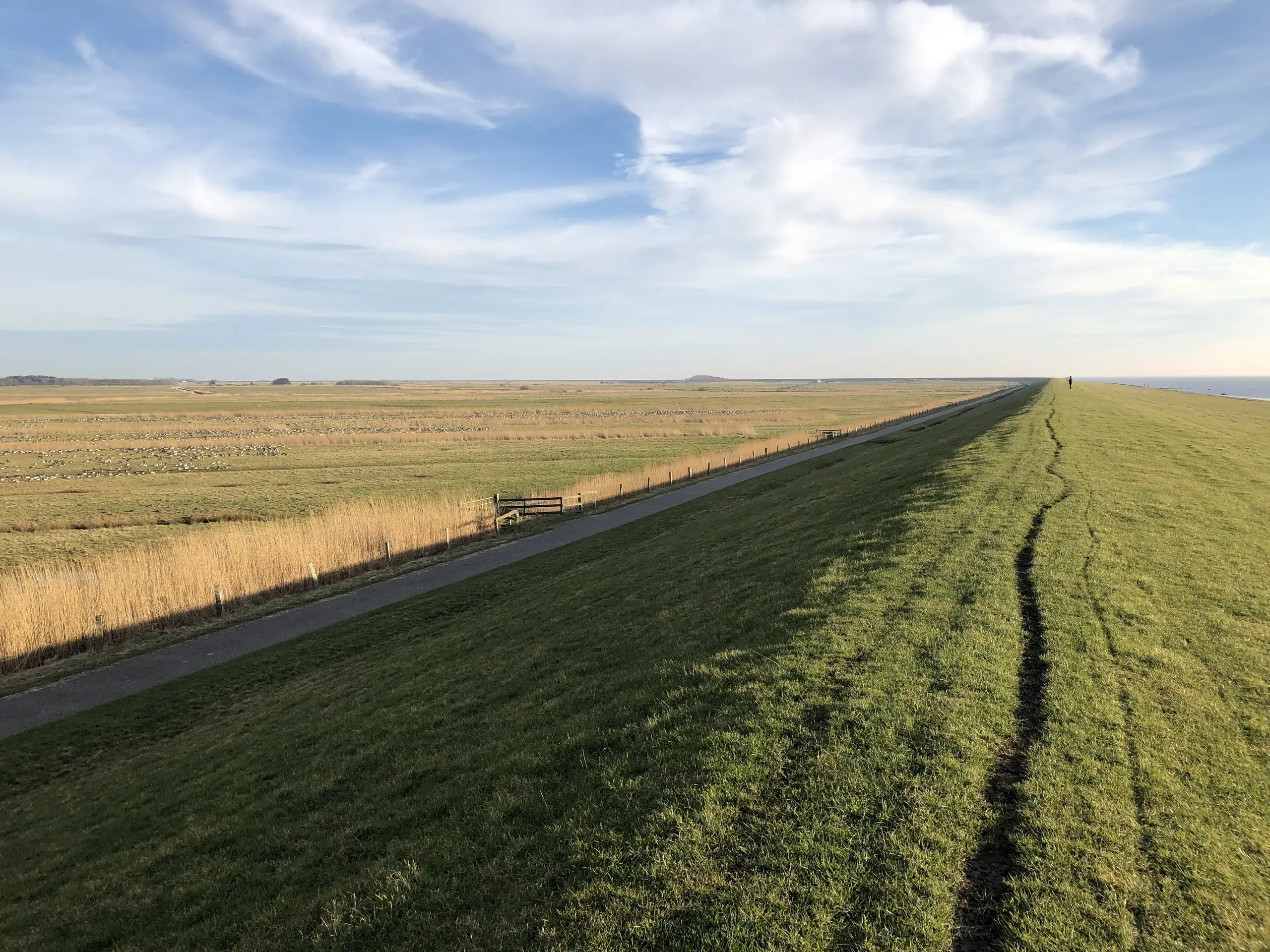 Nössedeich Archsum Nössedeich Archsum